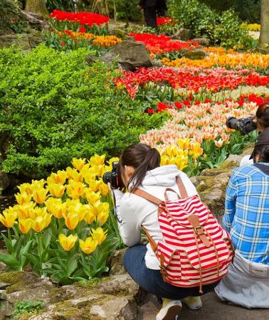 7D6N • 7-Day Taste of Central Europe from Paris: Germany, Netherlands, Belgium, Luxembourg and France