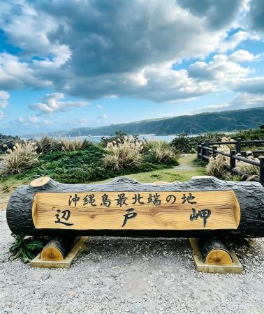 2天1晚 • 沖繩・本島最北端深度遊｜專屬包車不併團｜名護鳳梨園＋古宇利大橋＋邊戶岬最北海岸＋大石林山輕健行＋Yanbaru國立公園森林探秘