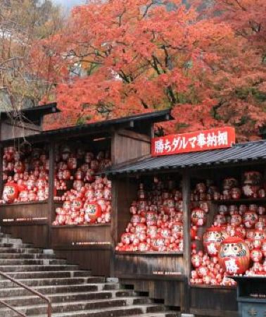 5日4晚 • 大阪、京都、奈良、和歌山 美景玩樂5天之旅【尊享香港航空貴賓室】全程膳食包足12餐，和式地道美食。賞紅葉名所(京都「世界文化遺產」金閣寺、「日本百大名城」和歌山城、紅葉溪庭園