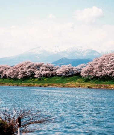 7D6N • Akita - Iwate - Miyagi - Sendai - Miyagi - Yamagata - Haneda - Narita