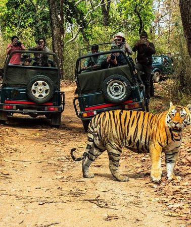 4D3N • Chitwan Jungle Safari 2/3/4 Day Tour from Kathmandu/Pokhara