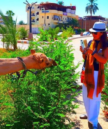2D1N • Private 2 Days The Best of Luxor