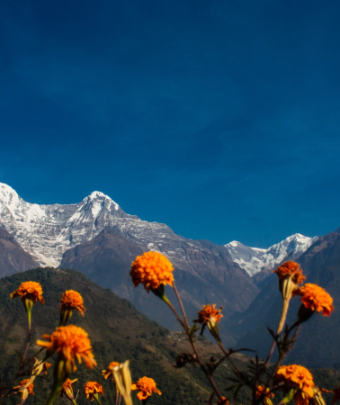 9D8N • Nepal Kathmandu + Pokhara 9-day 8-night private tour · Mardi Himal trek · hotel selection · guest house · Kathmandu–Pokhara round–trip flights · English-speaking trekking guide & porter