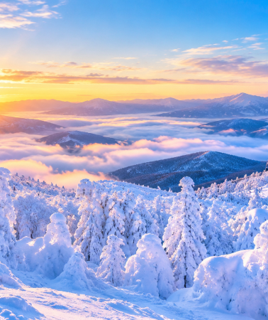 5天4晚 • 【冰雪山形】仙台進出、東北三絕・藏王樹冰 + 銀山溫泉 + 最上川芭蕉舟、松島遊船｜深度體驗山形冬景