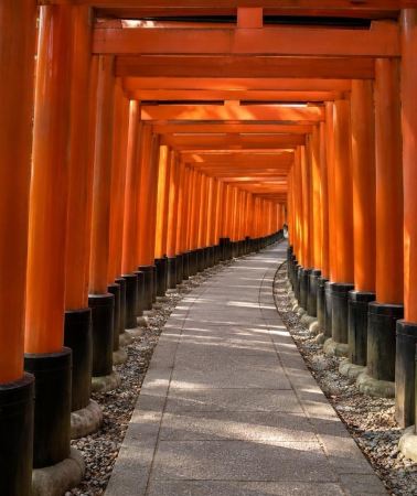 3D2N • Golden Route 3-Day: Tokyo, Mount Fuji, Kyoto & Nara by Van