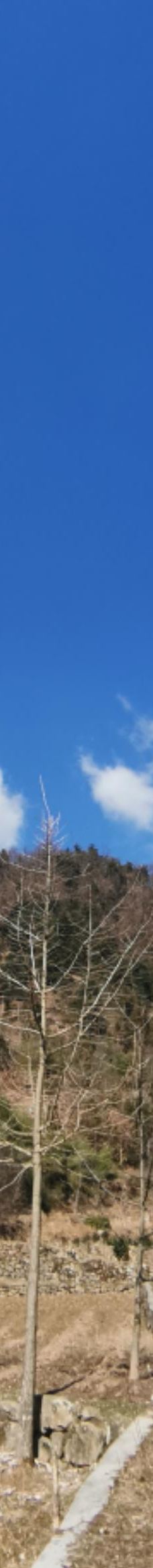 柴埠溪大峡谷-五峰