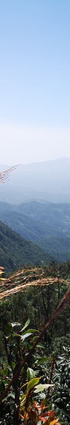广东第一峰旅游风景区-阳山