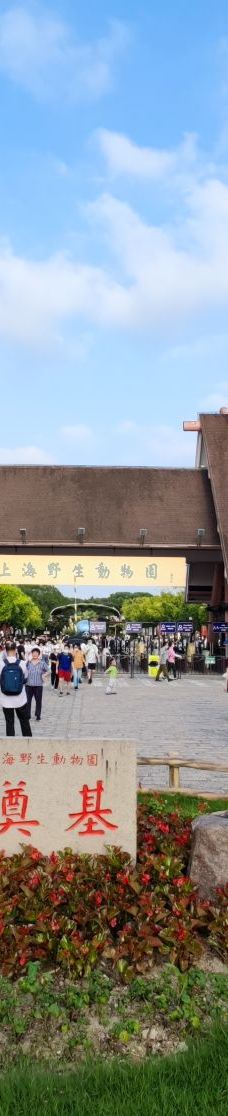 上海野生动物园-上海