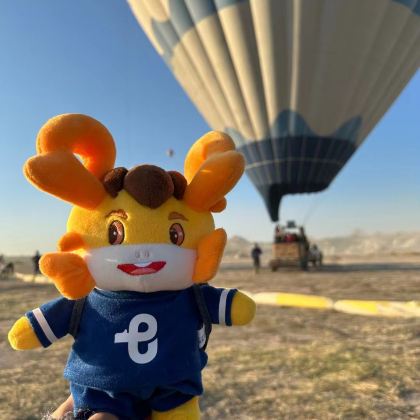 土耳其+埃及15日跟团游