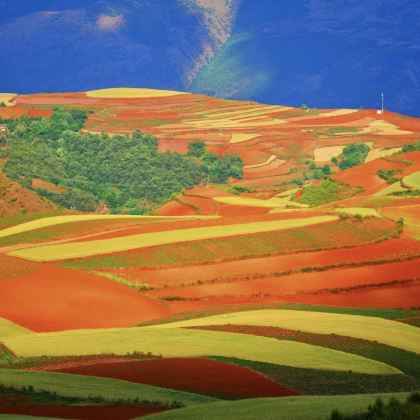 昆明+元阳+建水+东川红土地4日3晚私家团