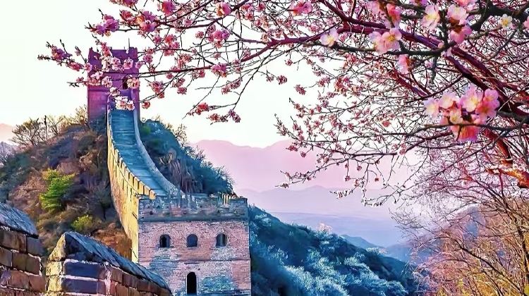 6D5N · Group Tours · Beijing + The Palace Museum + Mutianyu Great Wall + Prince Kung's Palace Museum + Summer Palace + Temple of Heaven