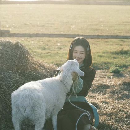 呼和浩特+辉腾锡勒草原+乌兰哈达火山地质公园+库布齐沙漠+敕勒川草原4日3晚跟团游