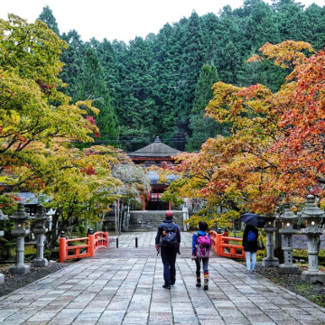 徒步·大阪+田边市+高野山+熊野本宫大社+川汤温泉7日6晚跟团游