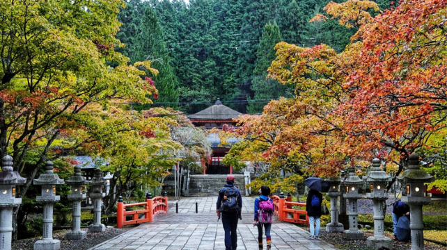 徒步·大阪+田边市+高野山+熊野本宫大社+川汤温泉7日6晚跟团游·熊野小边路71KM+进阶线路+专业中文徒步向导+ 温泉酒店+欢迎晚宴+行李无忧+佛教课程+穿越在连接高野山与本宫两大道场的群山秘境+山林冥想+夜游奥之院