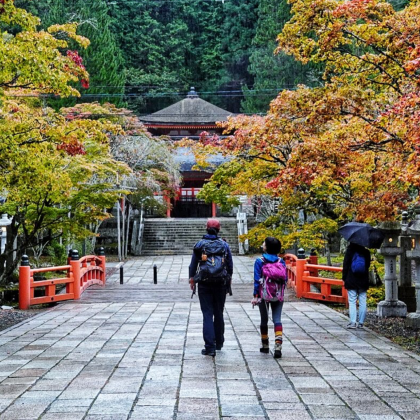 徒步·大阪+田边市+高野山+熊野本宫大社+川汤温泉7日6晚跟团游