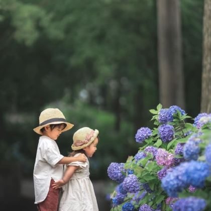 日本大阪+京都+奈良5日4晚私家团