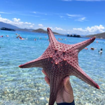 越南芽庄+美奈+胡志明市6日5晚跟团游