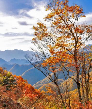 6D5N • Shennongjia + Yangtze River Three Gorges + The Three Gorges Dam Tourism Area