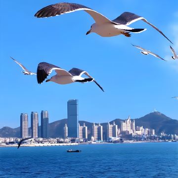 大连4日3晚跟团游