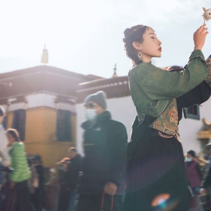 西藏拉萨+林芝+山南+布达拉宫+雅鲁藏布大峡谷+索松村+鲁朗林海+思金拉措+羊卓雍错11日6晚跟团游