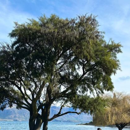 新西兰8日6晚拼小团