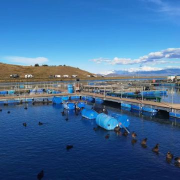 新西兰7日6晚私家团