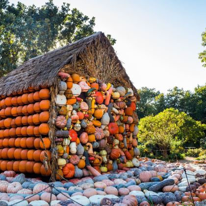 美国6日4晚私家团