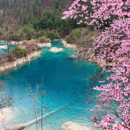 九寨沟+黄龙风景名胜区+峨眉山+乐山大佛5日4晚私家团