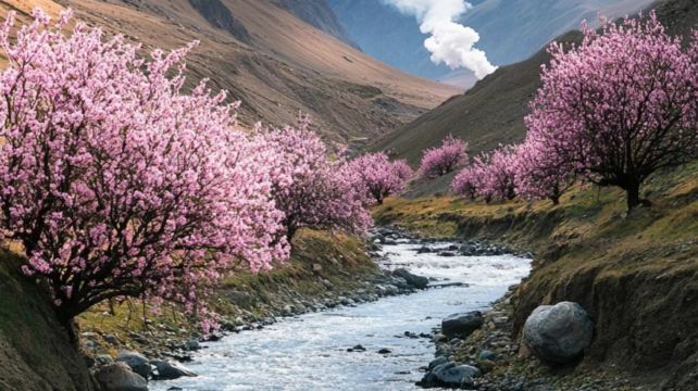 5-Day Xinjiang Private Tour from Kashi·Aoyitake Red Valley, Karakul Lake, White Sand Lake, Ancient Stone City, Golden Grassland, Panlong Ancient Road, Xiangfei's Tomb