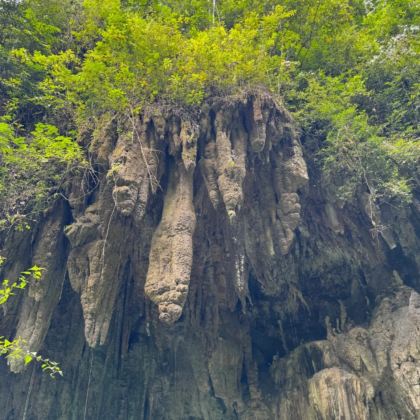 马尼拉市+宿务+薄荷岛6日5晚私家团