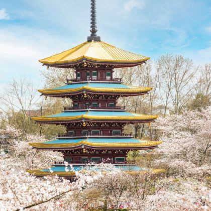 武汉+黄鹤楼+东湖生态旅游风景区4日3晚私家团