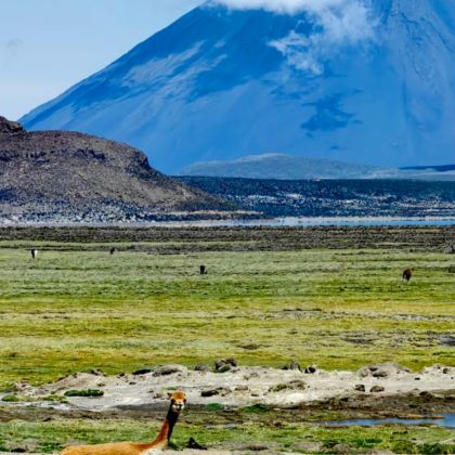 利马省+库斯科大区+圣谷8日7晚私家团