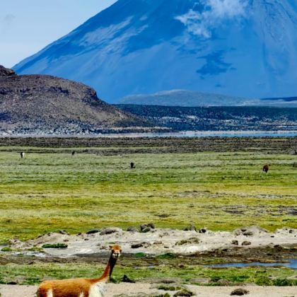 利马省+库斯科大区+圣谷6日5晚私家团