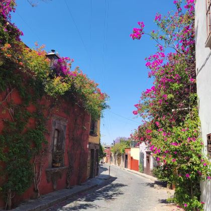 墨西哥+墨西哥城8日6晚私家团