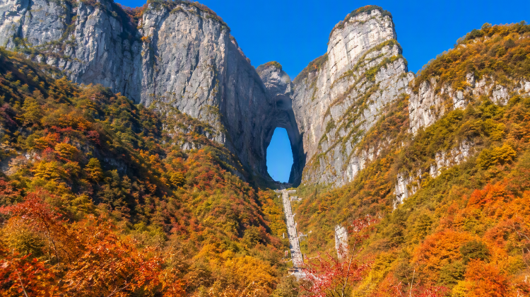 3-Day Highlights Tour from Zhangjiajie · Avatar Mountain and Tianmen Mountain | Zhangjiajie National Forest Park