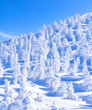 5D4N • Yamagata City + Ginzan Onsen + Frost-covered Trees in Zaō Mountains + Lake Inawashiro + Ouchijuku + Aizuwakamatsu + Zaō Fox Village