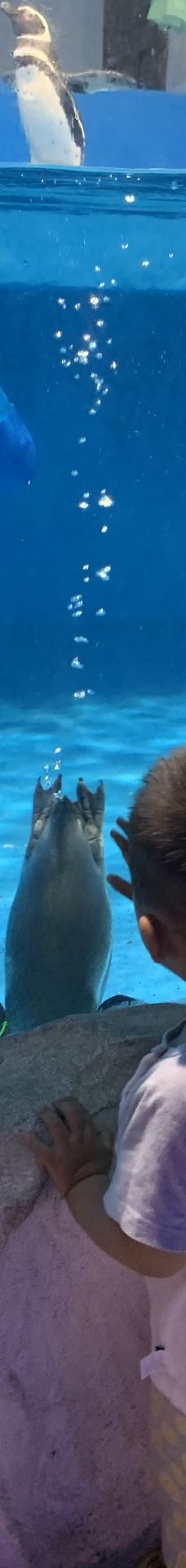 海趣花都海洋世界-昆明