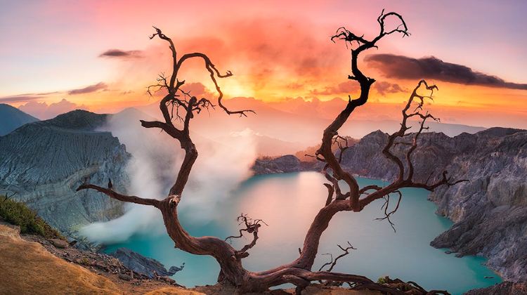 泗水+布罗莫火山+伊真火山3日2晚·专职司机+七年深耕印尼+布罗莫火山+探秘印尼活火山+月球表面 +宜珍火山+美丽蓝色火山湖+自然的蓝火盛宴1人可定+布罗莫日出+吉普车穿越+火山口徒步+宜珍蓝色火山湖+火焰