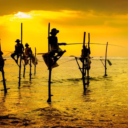 斯里兰卡科伦坡+贾夫纳+亭可马里+丹布勒+康提+努沃勒埃利耶+美蕊沙+加勒14日13晚私家团