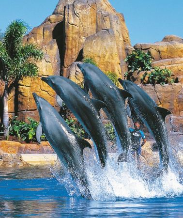 2D1N • Australia Gold Coast Theme Park "Choose 1 out of 4" + Moreton Island
