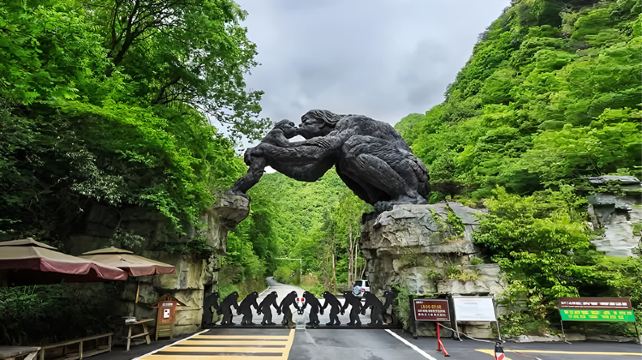 神农架、宜昌+9