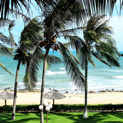 越南芽庄6日5晚私家团