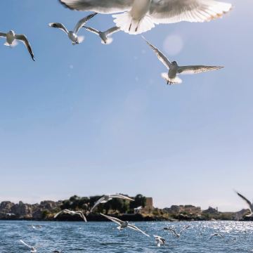 埃及尼罗河5日4晚跟团游