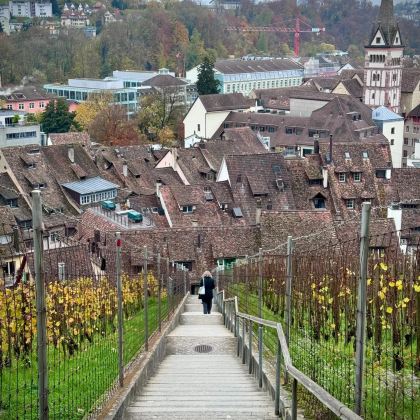 苏黎世5日4晚私家团
