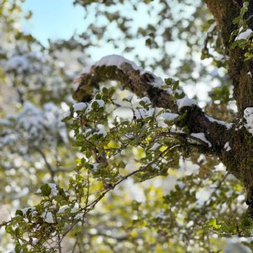 西安+安康+汉中5日4晚私家团