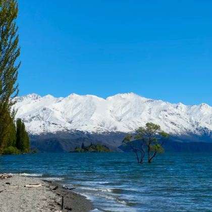 新西兰基督城+特卡波+瓦纳卡+皇后镇+南岛环岛9日7晚拼小团