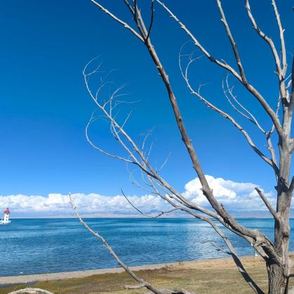 青海西宁+茶卡盐湖+青海湖景区+卓尔山4日3晚私家团