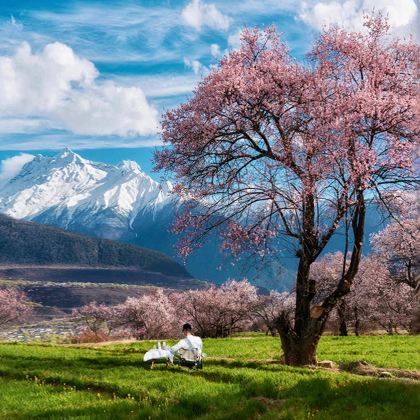 林芝+南迦巴瓦峰+波密+来古冰川+布达拉宫6日5晚私家团