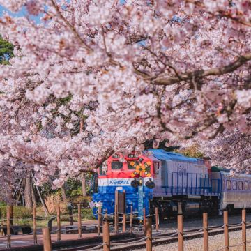 韩国釜山4日3晚私家团
