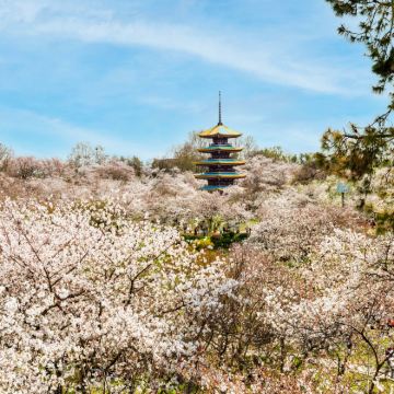 武汉+黄鹤楼+恩施市+七星寨景区6日5晚跟团游
